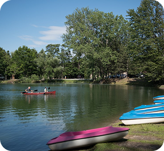 Relaxing Row Boating